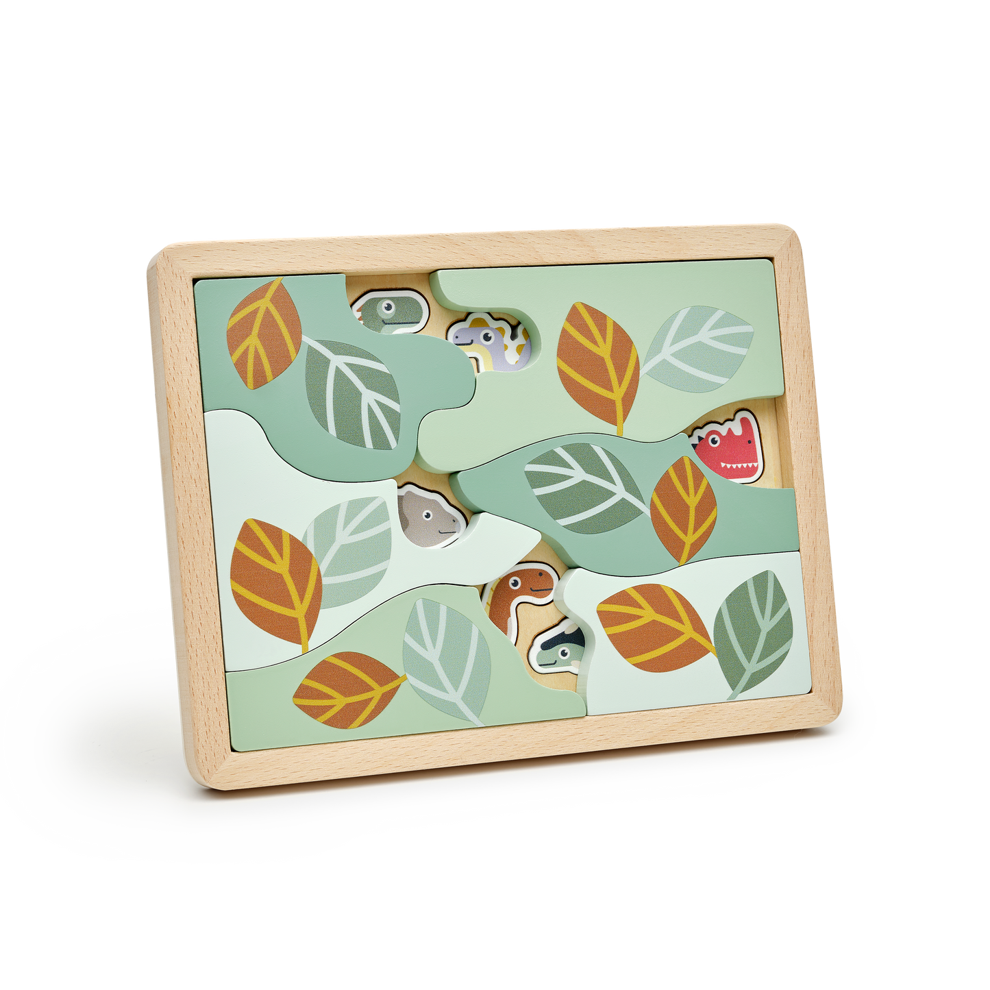 Hidden dinosaurs puzzle