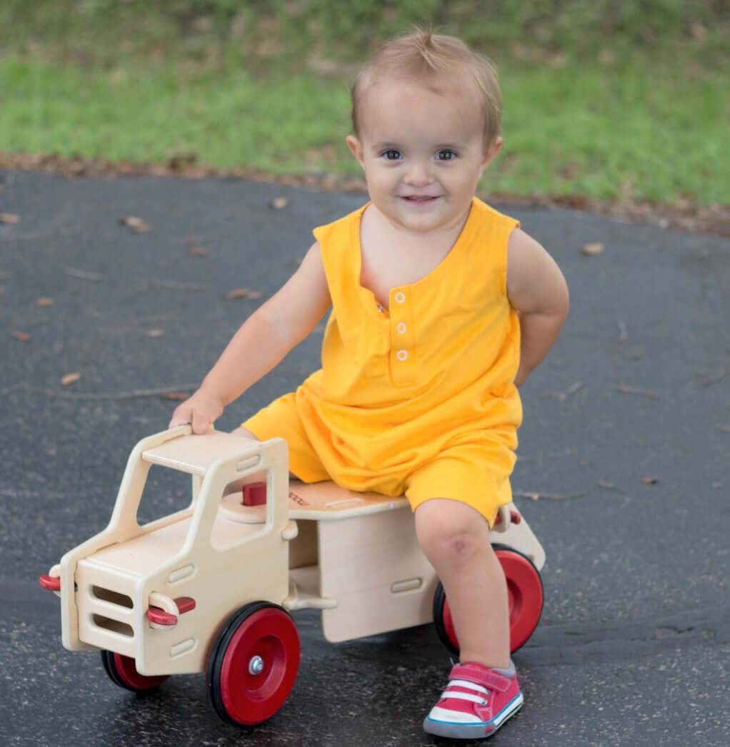 Dump truck Natural