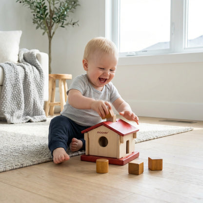 IQ sorting House Red