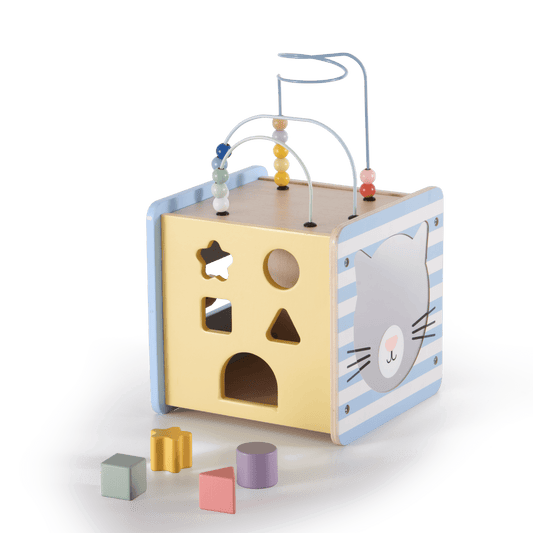 Mini activity cube