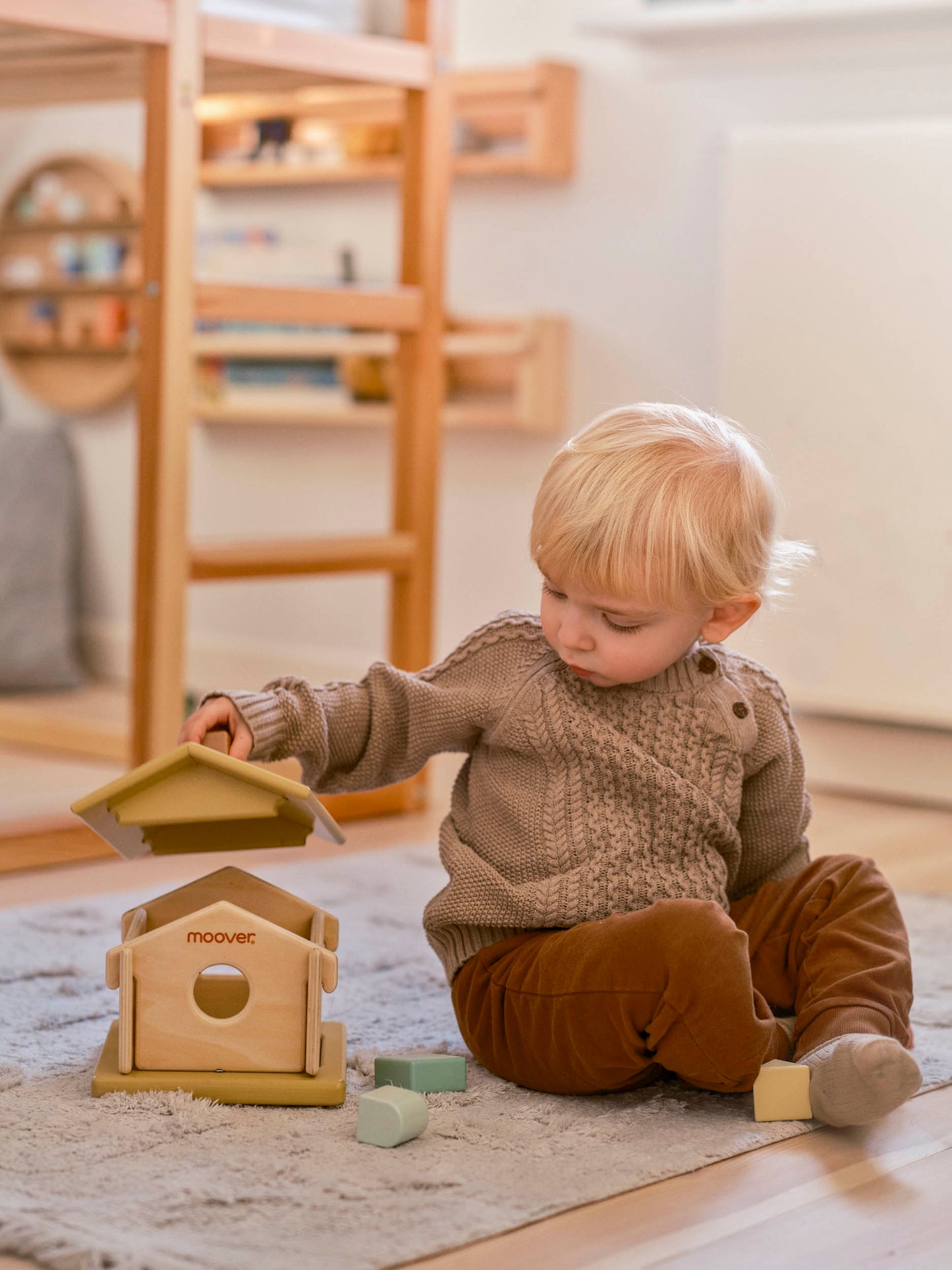 IQ sorting House Brown