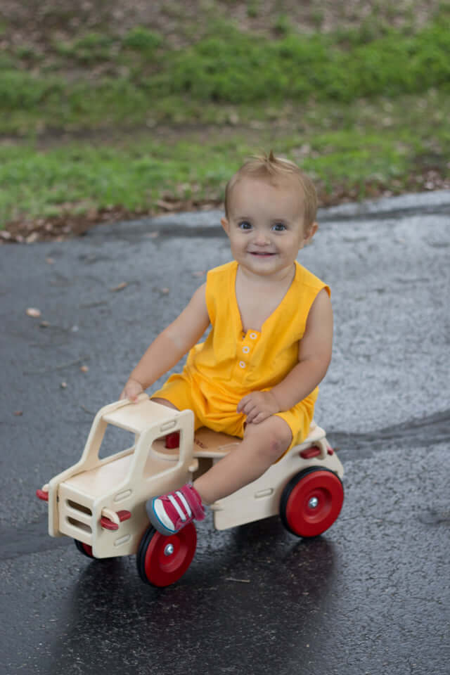 Dump truck Natural