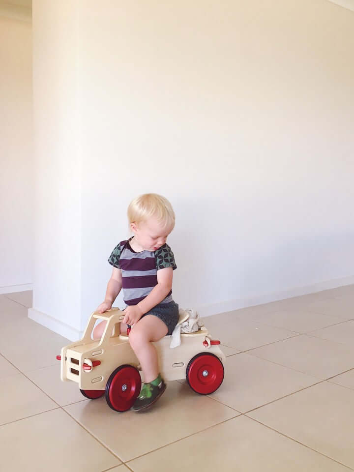 Dump truck Natural