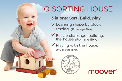 IQ sorting House Red